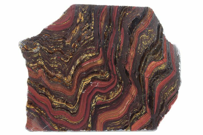 Polished Tiger Iron Stromatolite Slab - Billion Years #247789